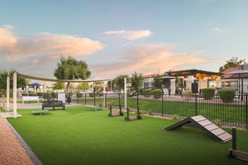 Expansive dog park with agility equipment – we love pets!*